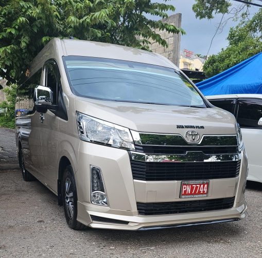 VIP Private Group Van